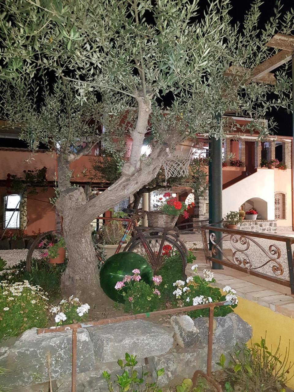 Вилла Original Sicily House Санта-Венерина Экстерьер фото
